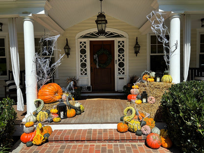 Wicked Witch - Lanterns Included