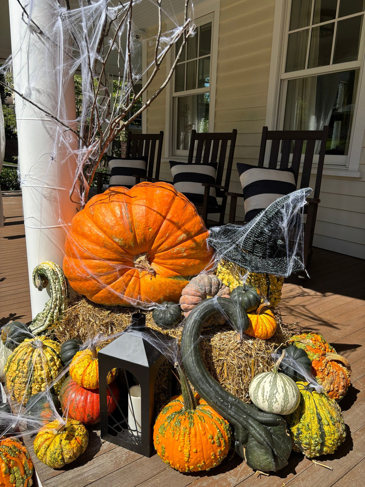 Wicked Witch - Lanterns Included