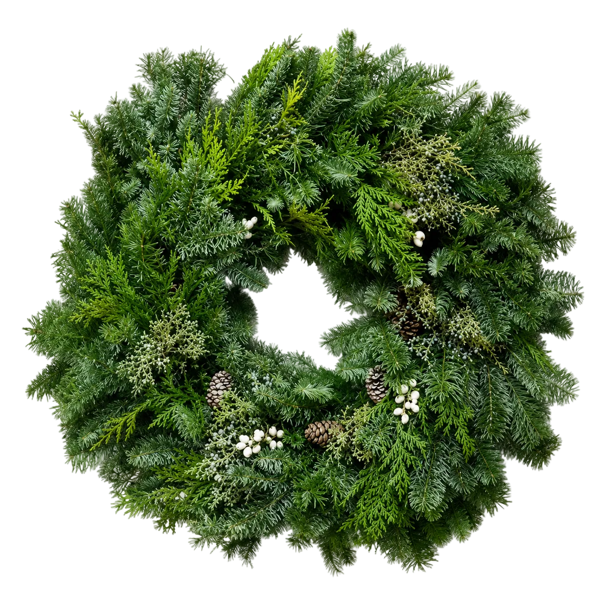 A lush green Christmas wreath made of dense pine and fir branches, decorated with small pinecones and clusters of white berries, photographed against a solid white background.
