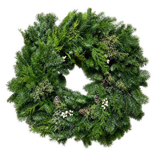 A lush green Christmas wreath made of dense pine and fir branches, decorated with small pinecones and clusters of white berries, photographed against a solid white background.
